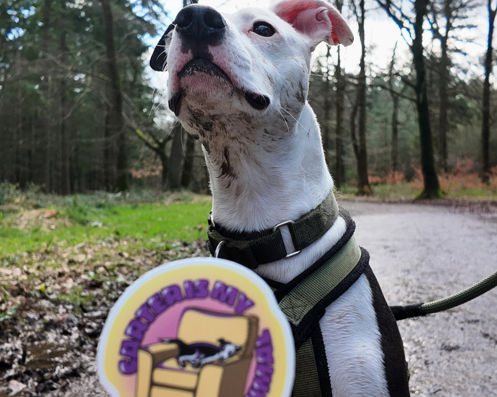 'Carter Is My Spirit Animal' Sticker