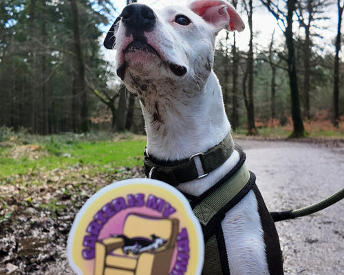 'Carter Is My Spirit Animal' Sticker